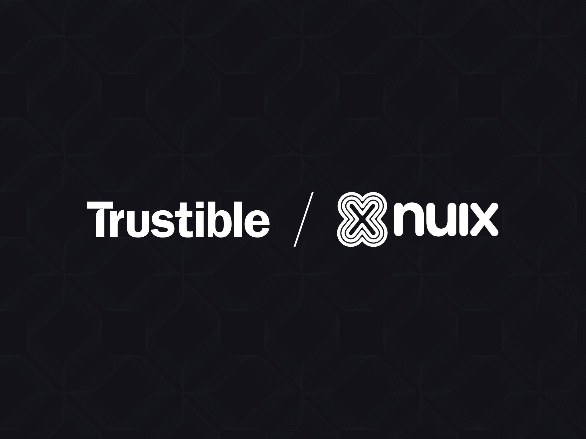 Trustible case study about Nuix